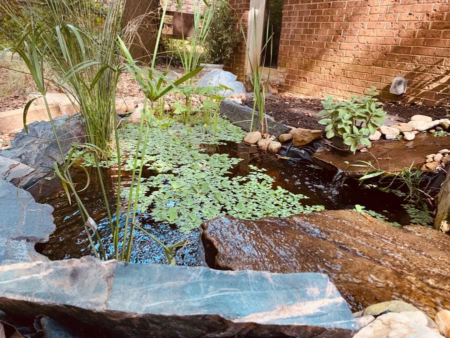 Pond Build Finished… For now